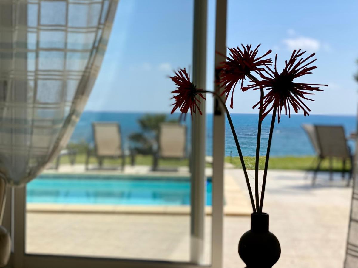 Amazing Front Line Villa In Coral Bay Pegeia Exteriér fotografie