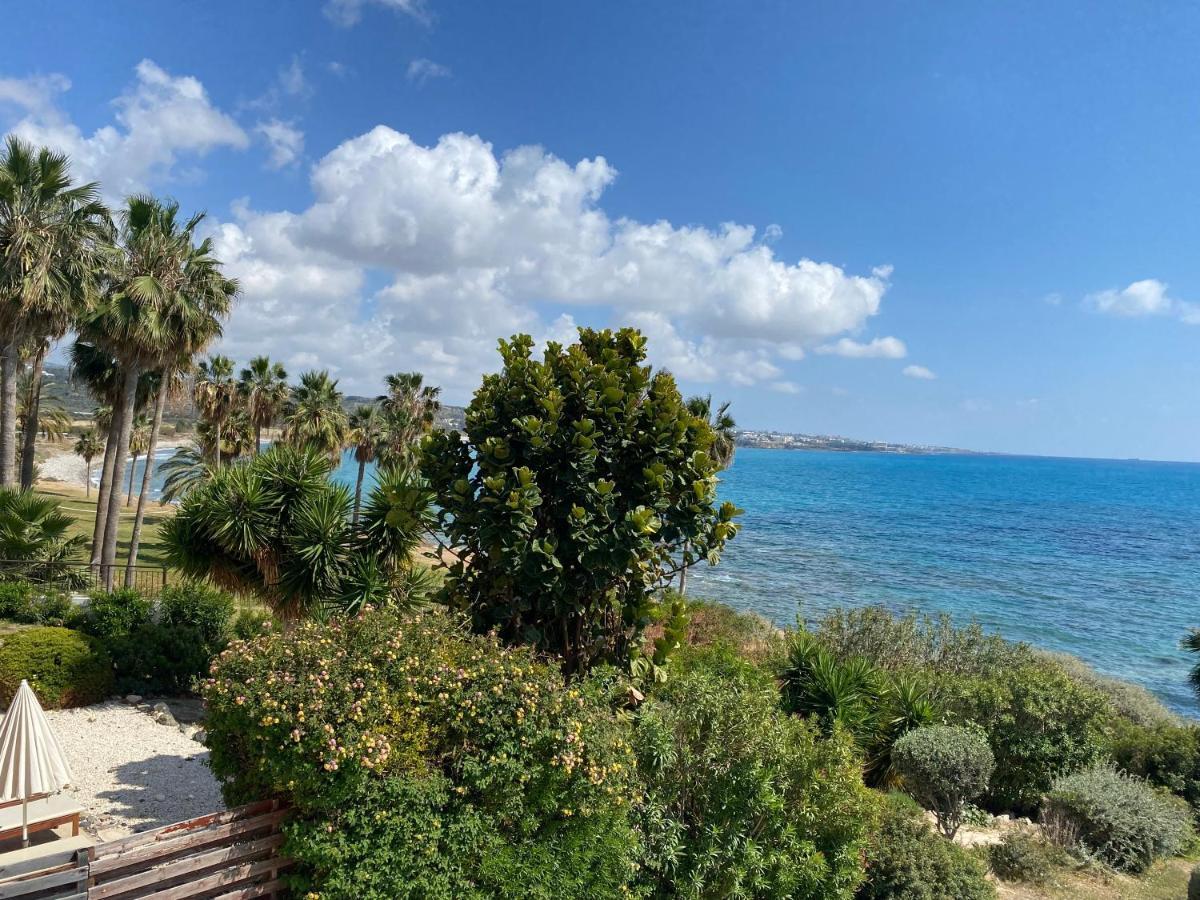 Amazing Front Line Villa In Coral Bay Pegeia Exteriér fotografie